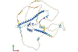 AlphaFold protein structure predicition of Human Recombinant WASF3 Protein, UniprotID Q9UPY6