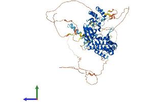 AlphaFold protein structure predicition of Human Recombinant IRAK1 Protein, UniprotID P51617