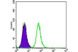 Flow cytometric analysis of MCF-7 cells using anti-DKK3 mAb (green) and negative control (purple). (DKK3 抗体)