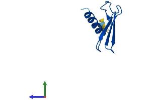 Protein Structure (PS) image for Elongation Factor 1 Homolog (ELOF1) (AA 1-83) protein (Fc Tag) (ABIN7556553)