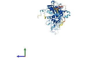AlphaFold protein structure predicition of Human Recombinant P2RX7 Protein, UniprotID Q99572