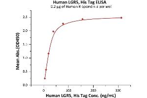 ELISA image for Leucine-Rich Repeat Containing G Protein-Coupled Receptor 5 (LGR5) (AA 22-561) (Active) protein (His tag) (ABIN7013659)