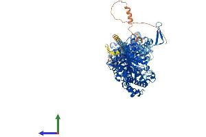 Protein Structure (PS) image for Klotho beta (KLB) (AA 1-1043) protein (His tag) (ABIN7564912)
