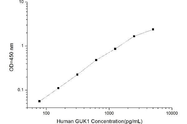 GUK1 ELISA 试剂盒