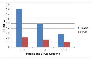 Human Plasma and Serum Sample Dilutions Tested with the Urea Assay Kit. (Urea Assay Kit)