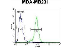 Flow cytometric analysis of MDA-MB231 cells using PDE12 Antibody (C-term) Cat. (PDE12 抗体  (C-Term))
