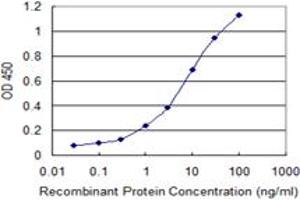 Detection limit for recombinant GST tagged ZNF101 is 0. (ZNF101 抗体  (AA 112-201))