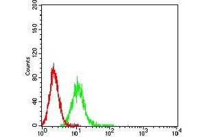 Flow cytometric analysis of K562 cells using CD87 mouse mAb (green) and negative control (red). (PLAUR 抗体  (AA 23-305))