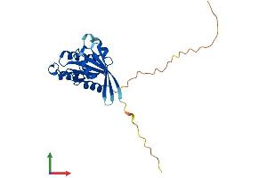 Protein Structure (PS) image for RAB5C, Member RAS Oncogene Family (Rab5c) (AA 1-216) protein (His tag) (ABIN7551174)