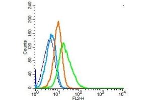 Human Raji cells probed with CD44 Polyclonal Antibody, Unconjugated  (green) at 1:100 for 30 minutes followed by a PE conjugated secondary antibody compared to unstained cells (blue), secondary only (light blue), and isotype control (orange). (CD44 抗体  (AA 701-742))
