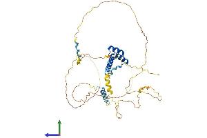 Protein Structure (PS) image for ALX Homeobox 4 (ALX4) (AA 1-399) protein (His tag) (ABIN7562270)