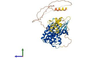 Protein Structure (PS) image for Cyclin-Dependent Kinase 16 (CDK16) (AA 1-496) protein (His tag) (ABIN7556883)
