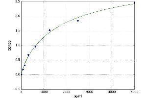 Netrin 4 (NTN4) ELISA Kit
