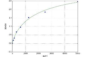 A typical standard curve (Netrin 4 ELISA 试剂盒)