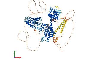Protein Structure (PS) image for rho Guanine Nucleotide Exchange Factor (GEF) 1 (ARHGEF1) (AA 1-920) protein (His tag) (ABIN7563908)