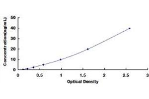 Typical standard curve (ALDH1A2 ELISA 试剂盒)