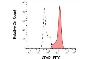 Separation of human CD62L positive lymphocytes (red-filled) from CD62L negative lymphocytes (black-dashed) in flow cytometry analysis (surface staining) of human peripheral whole blood stained using anti-human CD62L (LT-TD180) FITC antibody (20 μL reagent / 100 μL of peripheral whole blood). (L-Selectin 抗体  (FITC))