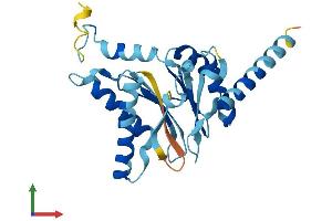 Protein Structure (PS) image for Proteasome Subunit alpha 8 (PSMA8) (AA 1-256) protein (His tag) (ABIN7550968)