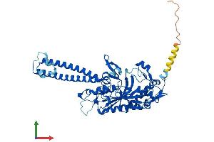 AlphaFold protein structure predicition of Mouse Recombinant Sars1 Protein, UniprotID P26638