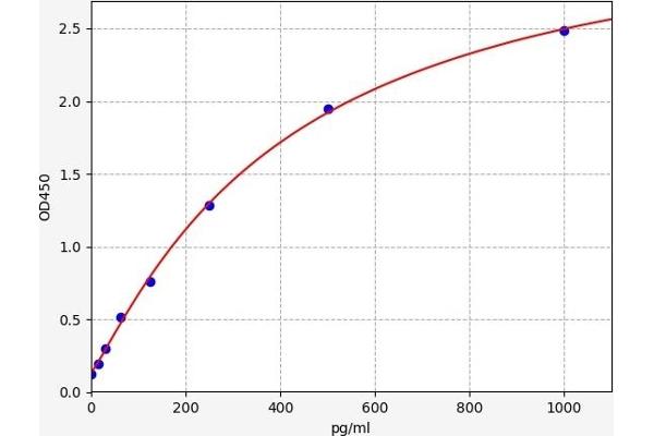 Catalase ELISA 试剂盒