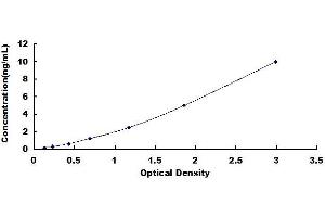 Typical standard curve (CEBPB ELISA 试剂盒)