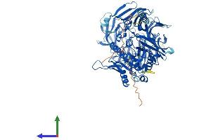Protein Structure (PS) image for Dipeptidyl-Peptidase 6 (DPP6) (AA 1-804) protein (His tag) (ABIN7565288)