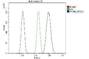 Flow Cytometry analysis of A431 cells using anti-SHP1/PTPN6 antibody (ABIN7602271). (SHP1 抗体  (AA 67-572))