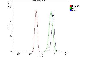 Flow Cytometry analysis of U20S cells using anti-IL2 Receptor beta/p75/IL2RB antibody (ABIN7600988). (IL2 Receptor beta 抗体  (AA 268-551))
