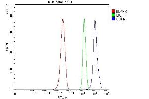 Flow Cytometry analysis of ANA-1 cells using anti-Ogfr antibody (ABIN7600657). (OGFR 抗体  (AA 217-427))