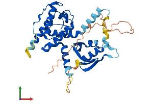 Protein Structure (PS) image for Growth Arrest-Specific 2 (GAS2) (AA 1-314) protein (His tag) (ABIN7562843)