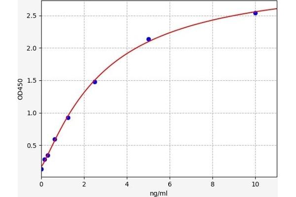 PCBP1 ELISA 试剂盒