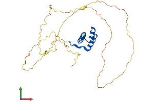 AlphaFold protein structure predicition of Human Recombinant HOXC12 Protein, UniprotID P31275
