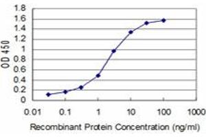 Detection limit for recombinant GST tagged BOLL is approximately 0. (BOLL 抗体  (AA 185-283))