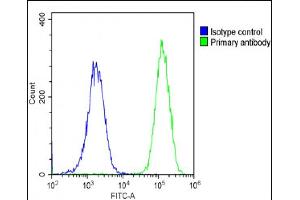 Overlay histogram showing RD cells stained with (ABIN652474 and ABIN2842322)(green line).