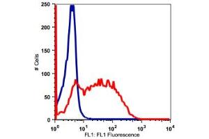 Image no. 2 for anti-Interleukin 2 Receptor, alpha (IL2RA) antibody (FITC) (ABIN2704227)