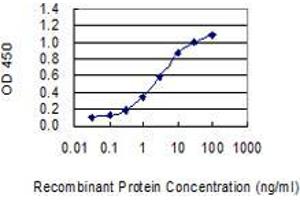 Detection limit for recombinant GST tagged GAST is 0. (Gastrin 抗体  (AA 1-101))