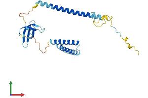 Protein Structure (PS) image for Survival Motor Neuron Domain Containing 1 (SMNDC1) (AA 1-238) protein (His tag) (ABIN7558583)