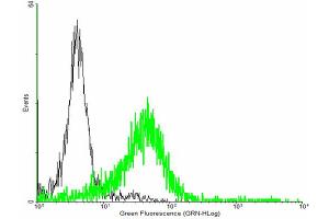 FACS analysis of negative control 293 cells (Black) and RGS6 expressing 293 cells (Green) using RGS6 purified MaxPab mouse polyclonal antibody. (RGS6 抗体  (AA 1-472))