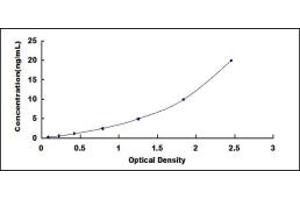 Typical standard curve (HMGCR ELISA 试剂盒)