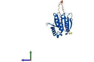 AlphaFold protein structure predicition of Mouse Recombinant Eif4e1b Protein, UniprotID Q3UTA9