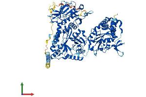 Protein Structure (PS) image for N-Deacetylase/N-Sulfotransferase (Heparan Glucosaminyl) 2 (NDST2) (AA 1-883) protein (His tag) (ABIN7554710)