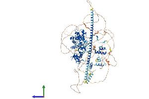 Protein Structure (PS) image for SWI/SNF Related, Matrix Associated, Actin Dependent Regulator of Chromatin, Subfamily C, Member 2 (SMARCC2) (AA 1-1213) protein (His tag) (ABIN7564117)