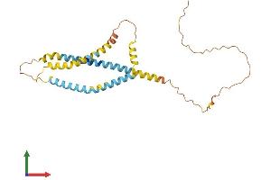 Protein Structure (PS) image for Spermatogenesis Associated 9 (SPATA9) (AA 1-254) protein (His tag) (ABIN7546266)
