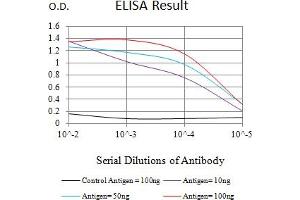 Black line: Control Antigen (100 ng),Purple line: Antigen (10 ng), Blue line: Antigen (50 ng), Red line:Antigen (100 ng) (ATG10 抗体  (AA 1-125))
