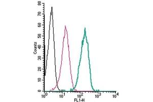 Flow Cytometry (FACS) image for anti-Solute Carrier Family 7 (Cationic Amino Acid Transporter, Y+ System), Member 2 (SLC7A2) (AA 151-163), (Extracellular) antibody (ABIN7043748)