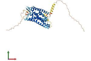 Protein Structure (PS) image for Chemokine-Like Receptor 1 (CMKLR1) (AA 1-373) protein (His tag) (ABIN7553474)