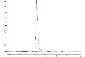 Size-exclusion chromatography-High Pressure Liquid Chromatography (SEC-HPLC) image for Epidermal Growth Factor Receptor (EGFR) (AA 25-645) protein (His-Avi Tag) (ABIN7274526)