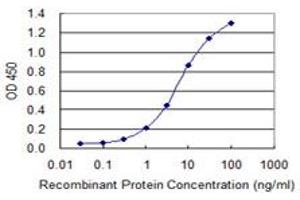Detection limit for recombinant GST tagged RNF123 is 0. (RNF123 抗体  (AA 1216-1314))