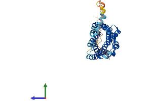 Protein Structure (PS) image for Chemokine (C-C Motif) Receptor 5 (CCR5) (AA 1-352) protein (His tag) (ABIN7553052)