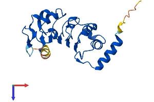 Leucine Rich Transmembrane and 0-Methyltransferase Domain Containing (LRTOMT) (AA 1-192) protein (His tag)